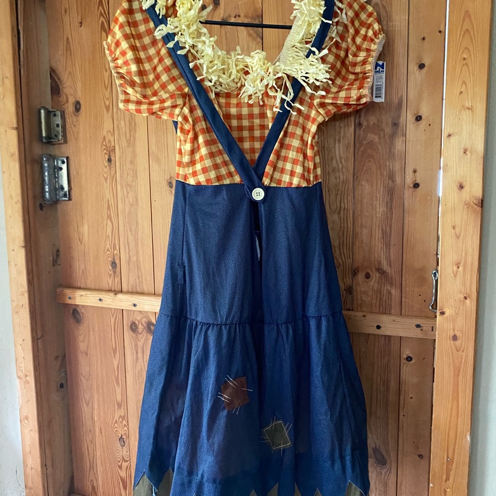 Orange Checkered Scarecrow Costume Dress size 12-14 - Picture 3 of 12